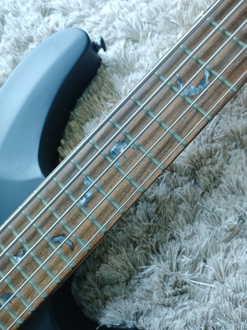 Schecter Diamond Series Damien-5 5String Active Bass EMG-HZ Pickup