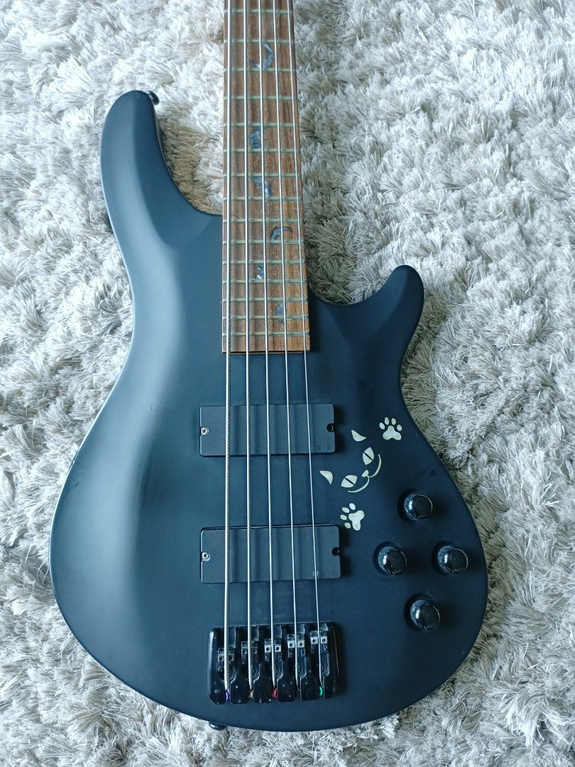Schecter Diamond Series Damien-5 5String Active Bass EMG-HZ Pickup