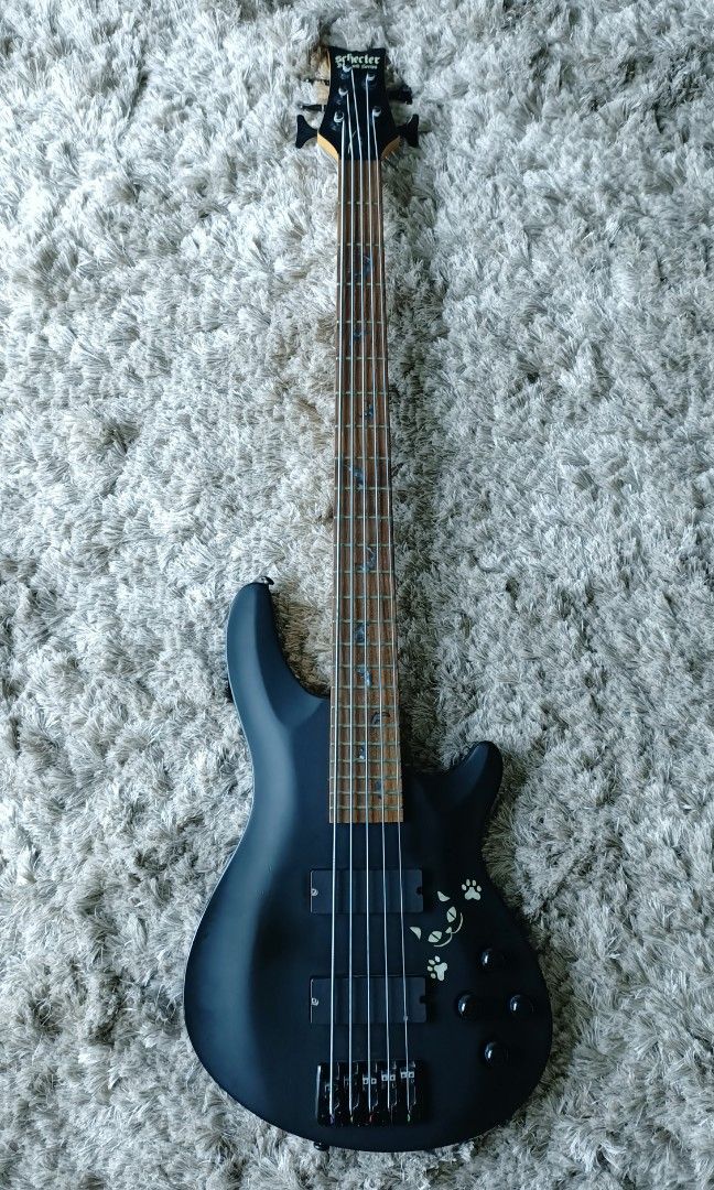 Schecter Diamond Series Damien-5 5String Active Bass EMG-HZ Pickup