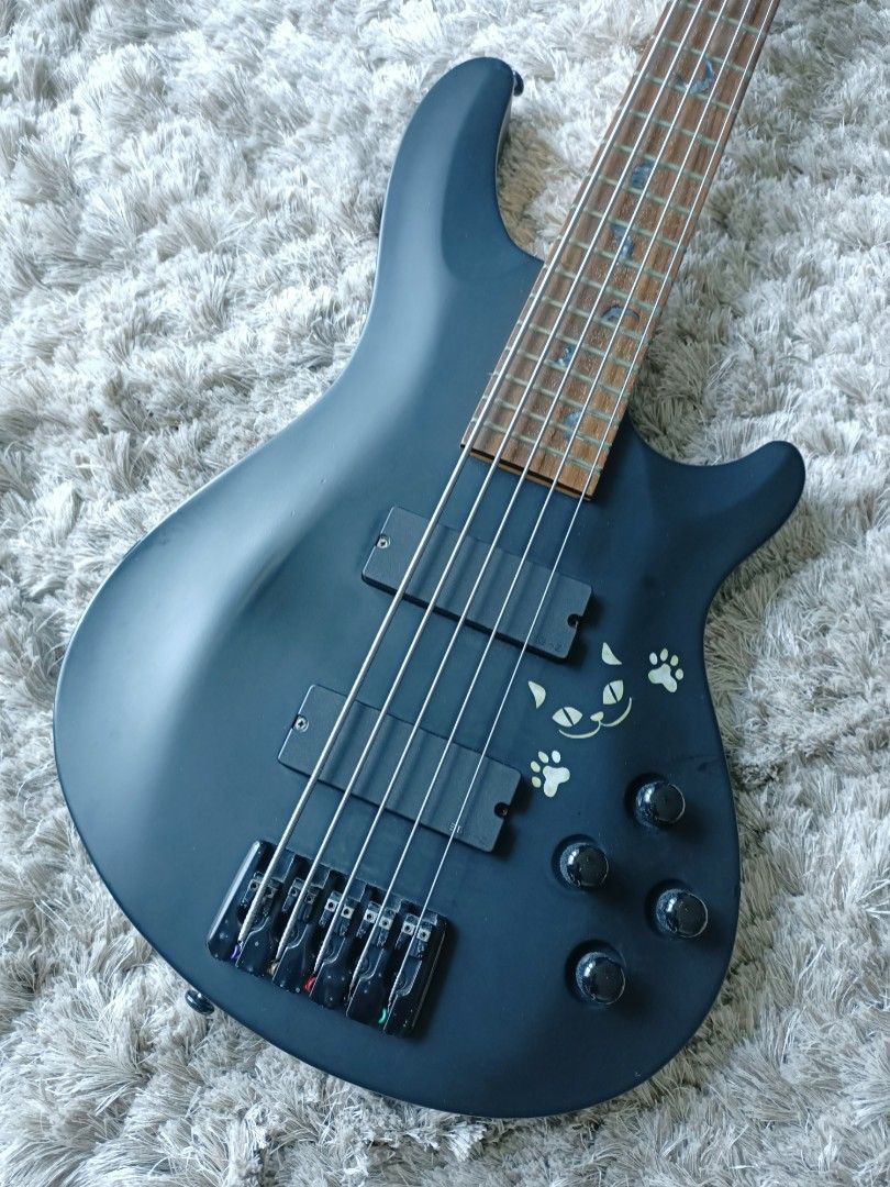 Schector Diamond *SOLD* Schecter Diamond Series Damien-5 5String Active Bass EMG-HZ Pic ...